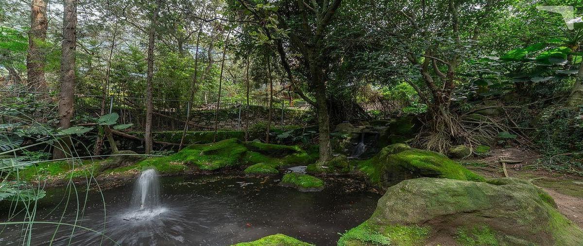 Foto de casa en paseo de la rosa morada , pinar de la venta, zapopan, jalisco, 0 foto 07 Foto de casa en venta en paseo de la rosa morada , pinar de la venta, zapopan, jalisco, 0 No. 07