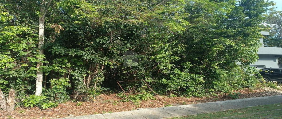 Foto de terreno habitacional en venta en paseo de la selva ii 121, supermanzana 326, benito juárez, quintana roo, 0 No. 03