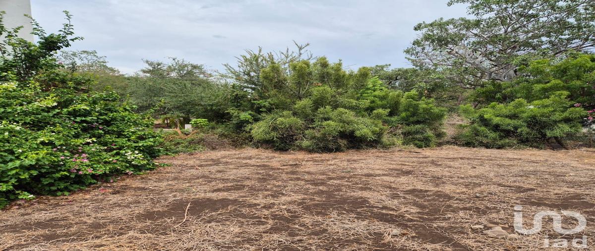 Foto de terreno habitacional en venta en paseo de las arboledas , arboledas, colima, colima, 31431315 No. 05
