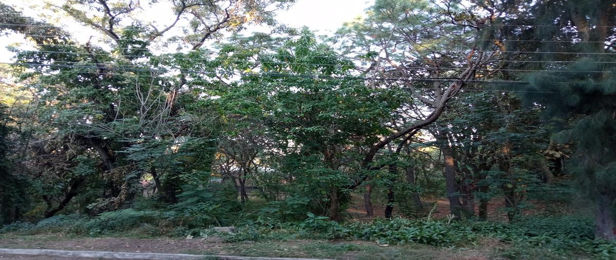 Foto de terreno habitacional en venta en paseo de las ceibas , pinar de la venta, zapopan, jalisco, 25827877 No. 03