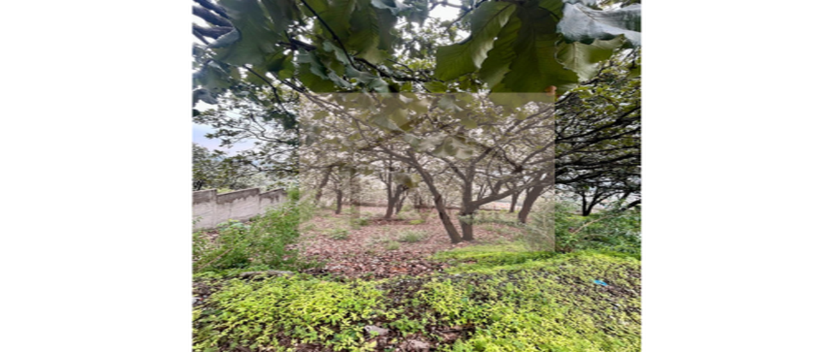 Foto de terreno habitacional en venta en paseo de las cumbres , el palomar, tlajomulco de zúñiga, jalisco, 0 No. 03