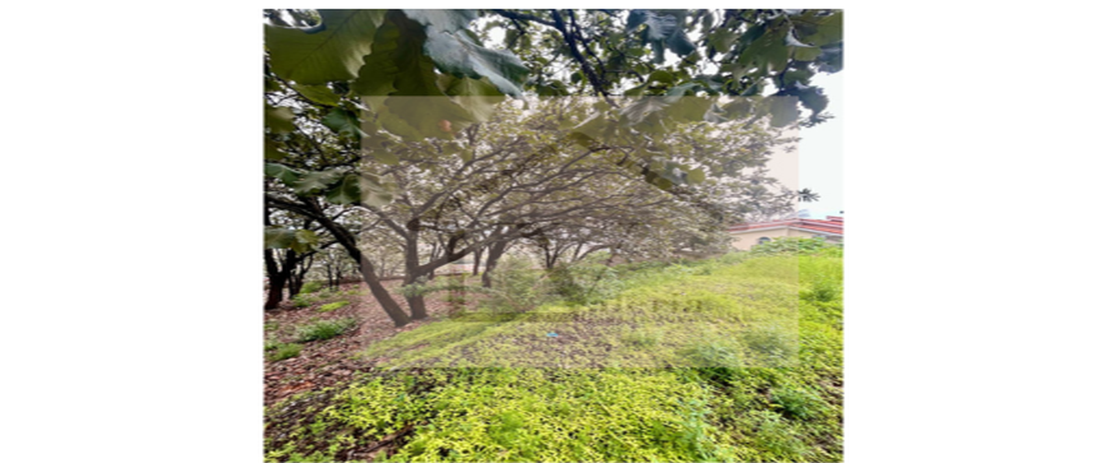 Foto de terreno habitacional en venta en paseo de las cumbres , el palomar, tlajomulco de zúñiga, jalisco, 0 No. 04