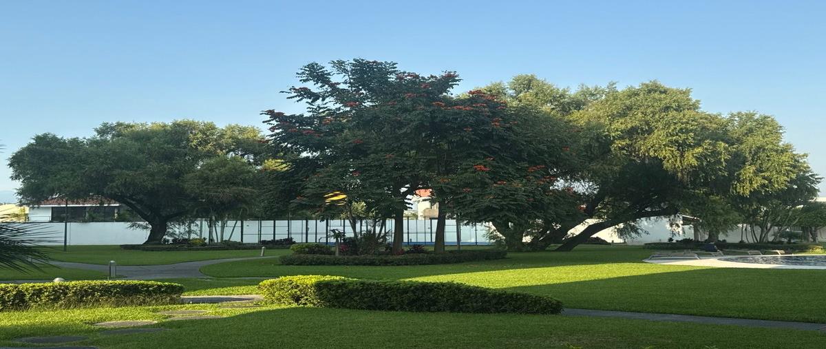 Foto de departamento en renta en paseo de las flores , paraíso country club, emiliano zapata, morelos, 0 No. 05