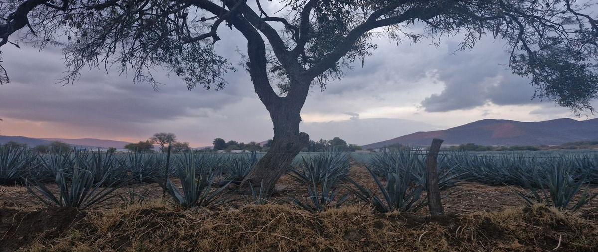 Foto de casa en paseo de las jacarandas fraccionamiento huertas productivas , chulavista, tlajomulco de zúñiga, jalisco, 0 foto 02 Foto de casa en venta en paseo de las jacarandas fraccionamiento huertas productivas , chulavista, tlajomulco de zúñiga, jalisco, 0 No. 02