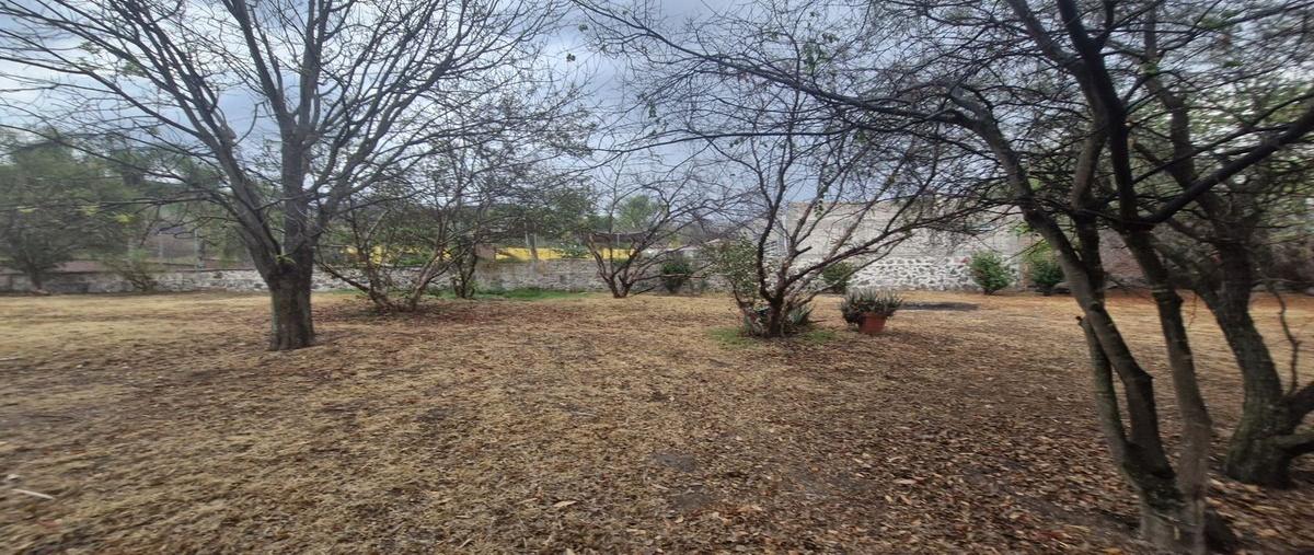 Foto de casa en venta en paseo de las jacarandas fraccionamiento huertas productivas , chulavista, tlajomulco de zúñiga, jalisco, 0 No. 04
