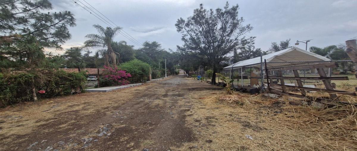 Foto de casa en paseo de las jacarandas fraccionamiento huertas productivas , chulavista, tlajomulco de zúñiga, jalisco, 0 foto 05 Foto de casa en venta en paseo de las jacarandas fraccionamiento huertas productivas , chulavista, tlajomulco de zúñiga, jalisco, 0 No. 05