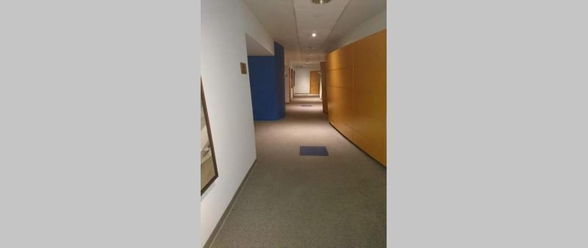 Foto de oficina en venta en  , paseo de las lomas, álvaro obregón, df / cdmx, 30128999 No. 04