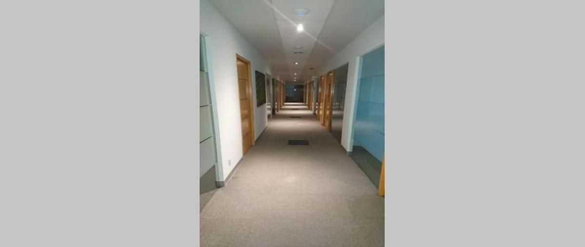 Foto de oficina en venta en  , paseo de las lomas, álvaro obregón, df / cdmx, 30128999 No. 05