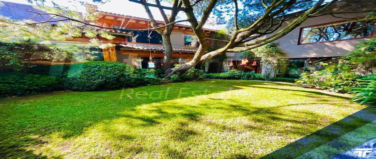 Foto de casa en venta en  , paseo de las lomas, álvaro obregón, df / cdmx, 31091000 No. 04