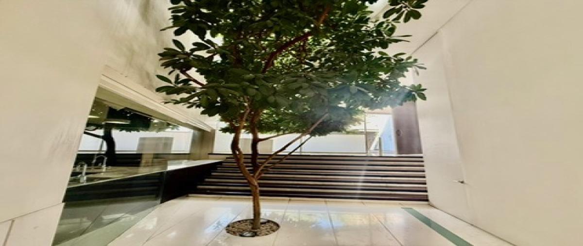 Foto de casa en venta en paseo de las lomas , lomas altas, miguel hidalgo, df / cdmx, 30612764 No. 06