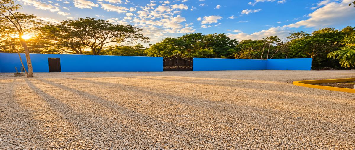 Foto de terreno habitacional en , paseo de las palmas, benito juárez, quintana roo, 0 foto 01 Foto de terreno habitacional en venta en , paseo de las palmas, benito juárez, quintana roo, 0 No. 01