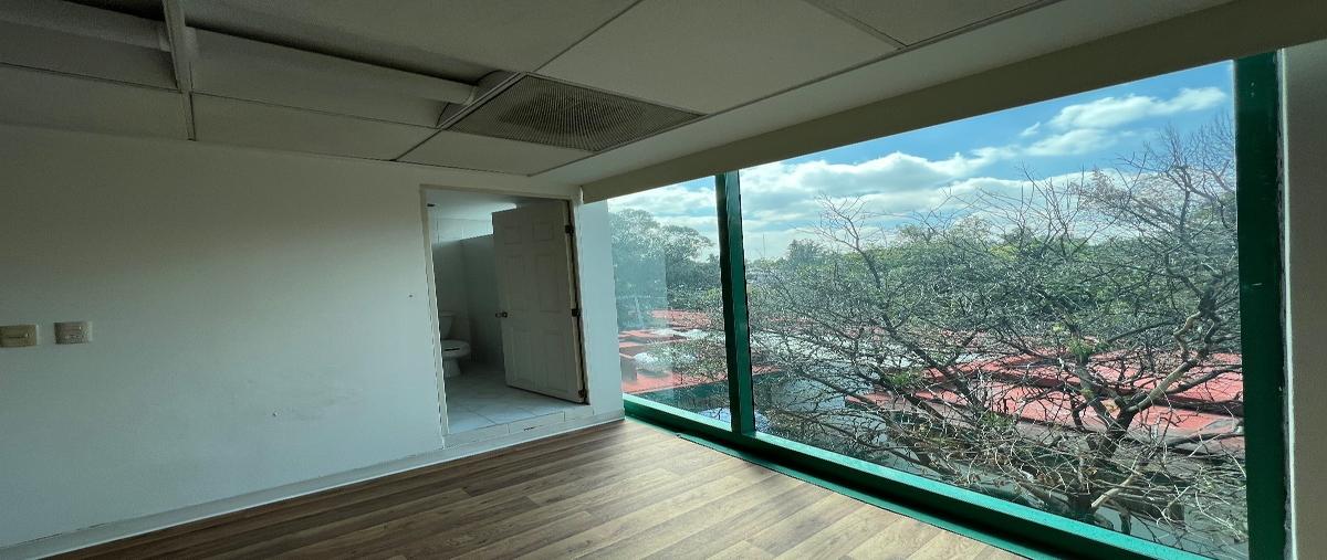 Foto de oficina en paseo de las palmas , lomas de chapultepec i sección, miguel hidalgo, df / cdmx, 27283863 foto 05 Foto de oficina en renta en paseo de las palmas , lomas de chapultepec i sección, miguel hidalgo, df / cdmx, 27283863 No. 05