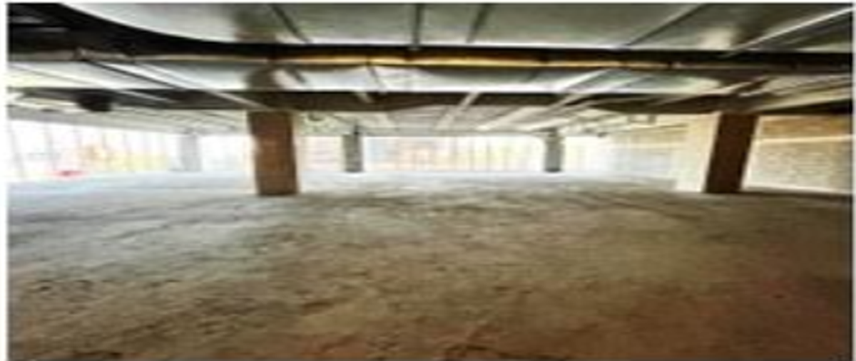 Foto de oficina en renta en paseo de las palmas , lomas de chapultepec i sección, miguel hidalgo, df / cdmx, 28394005 No. 03