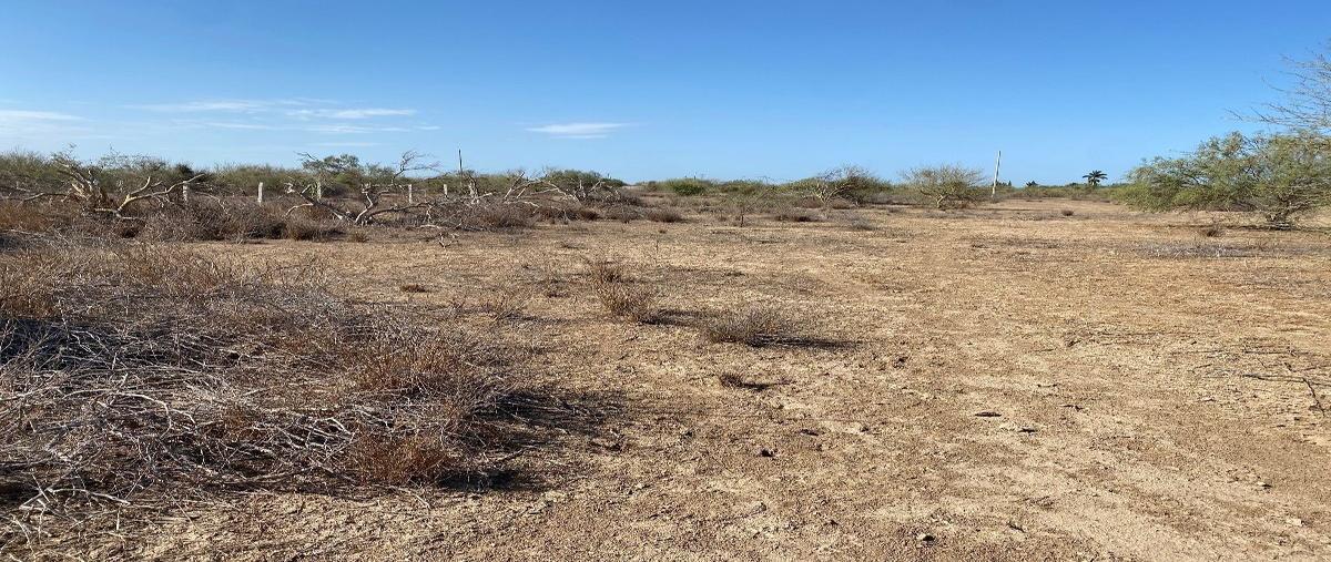 Foto de terreno habitacional en venta en paseo de las palmas , villas de la paz, la paz, baja california sur, 26850272 No. 03