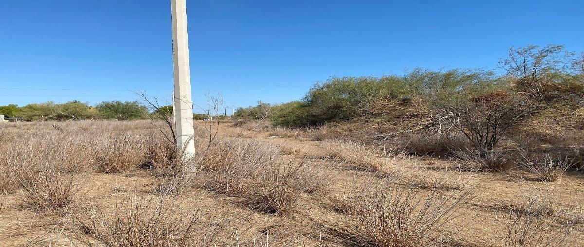 Foto de terreno habitacional en venta en paseo de las palmas , villas de la paz, la paz, baja california sur, 26850272 No. 04