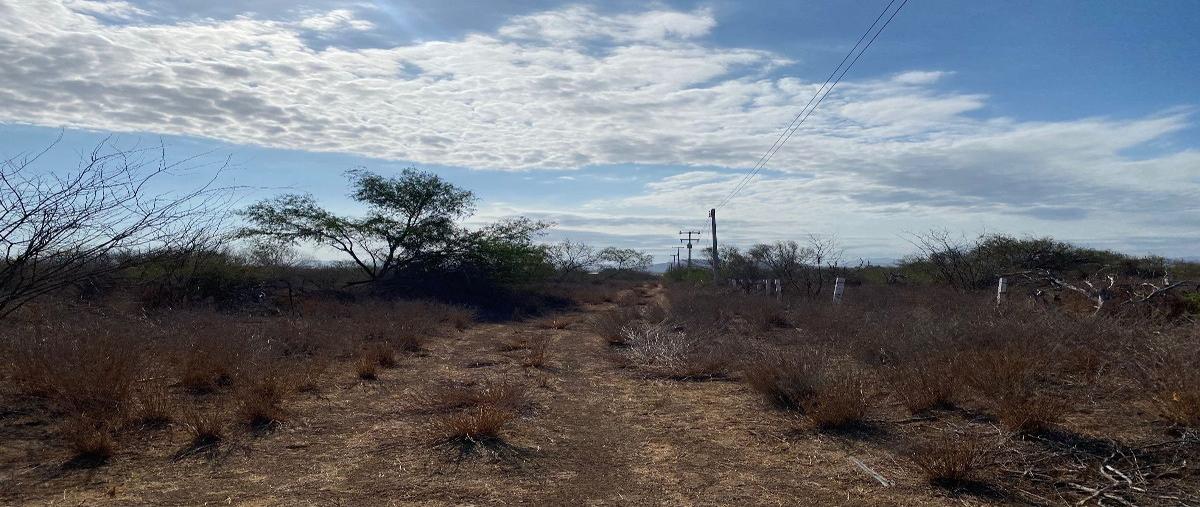 Foto de terreno habitacional en venta en paseo de las palmas , villas de la paz, la paz, baja california sur, 26850272 No. 05