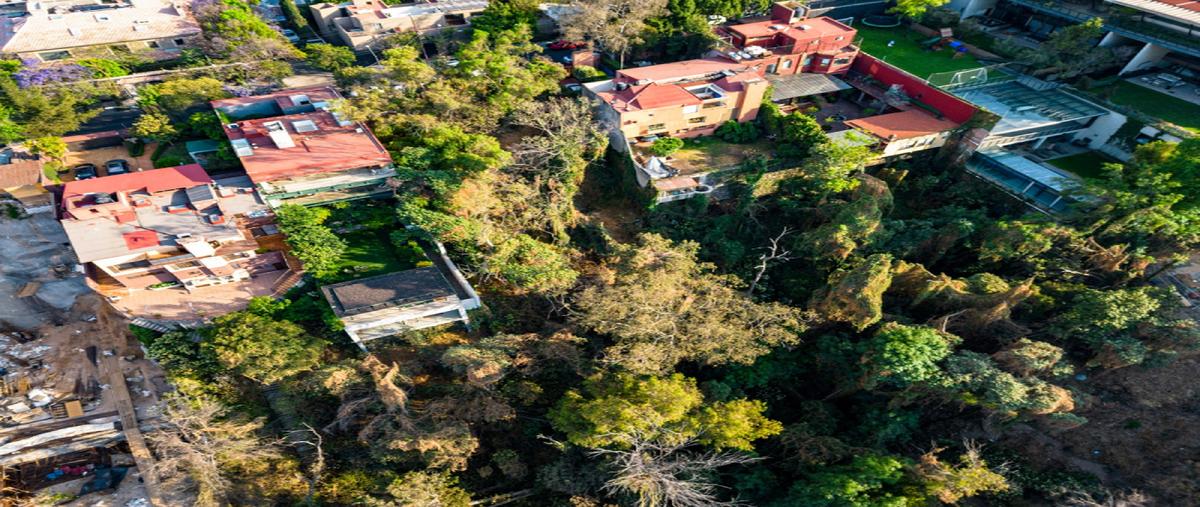 Foto de terreno industrial en venta en paseo de lomas altas , lomas altas, miguel hidalgo, df / cdmx, 27896640 No. 05