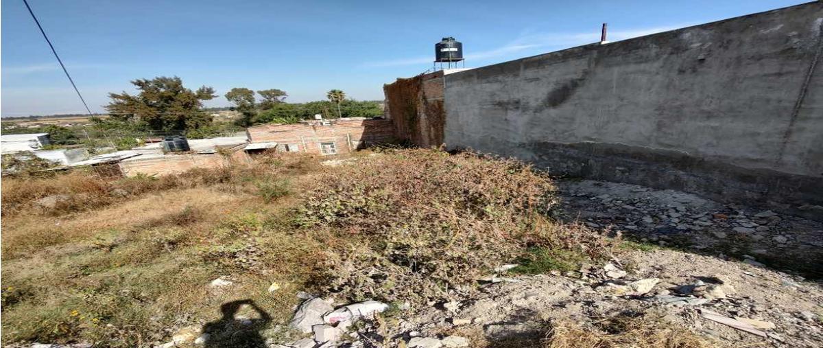 Foto de terreno habitacional en , paseo de los agaves, tlajomulco de zúñiga, jalisco, 0 foto 04 Foto de terreno habitacional en venta en , paseo de los agaves, tlajomulco de zúñiga, jalisco, 0 No. 04