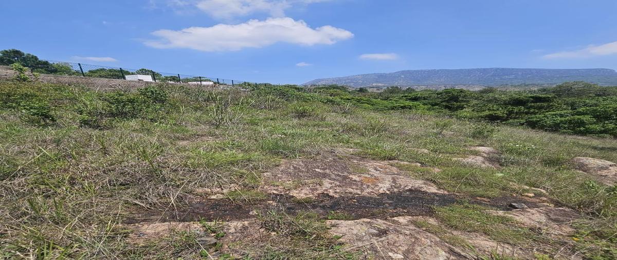 Foto de terreno habitacional en paseo de los almendros 8, hacienda la herradura, zapopan, jalisco, 30261146 foto 05 Foto de terreno habitacional en venta en paseo de los almendros 8, hacienda la herradura, zapopan, jalisco, 30261146 No. 05