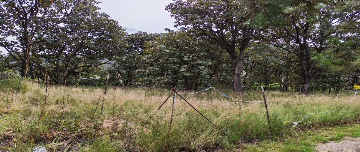 Foto de terreno habitacional en paseo de los cedros , el palomar, tlajomulco de zúñiga, jalisco, 0 foto 03 Foto de terreno habitacional en venta en paseo de los cedros , el palomar, tlajomulco de zúñiga, jalisco, 0 No. 03