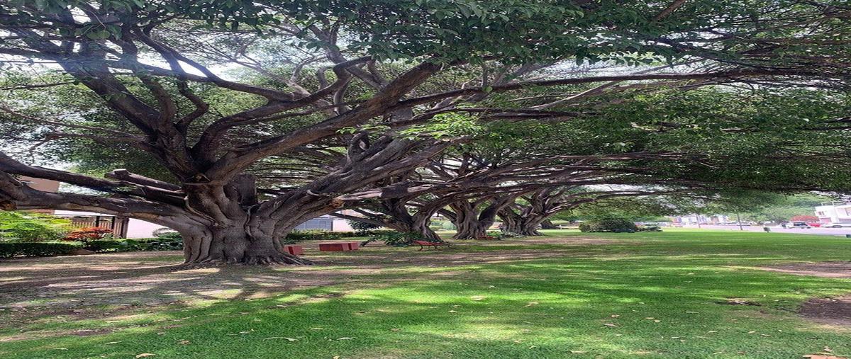 Foto de terreno habitacional en venta en paseo de los cedros , san agustin, tlajomulco de zúñiga, jalisco, 0 No. 07