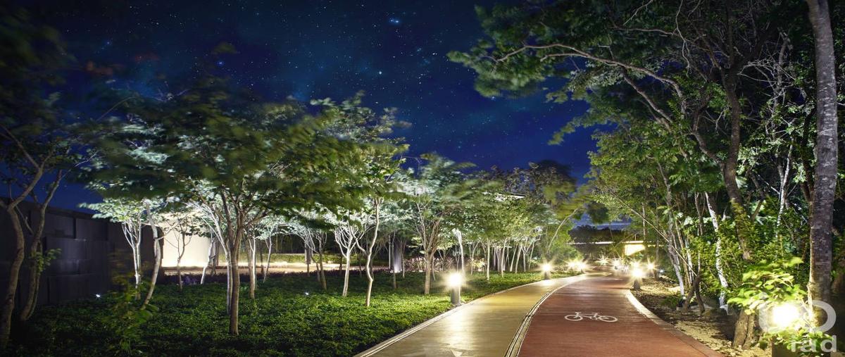 Foto de departamento en paseo de los jardines, paseo de bromelias, region 21, 202, ciudad mayakoba, solidaridad, quintana roo, 31020858 foto 04 Foto de departamento en venta en paseo de los jardines, paseo de bromelias, region 21, 202, ciudad mayakoba, solidaridad, quintana roo, 31020858 No. 04