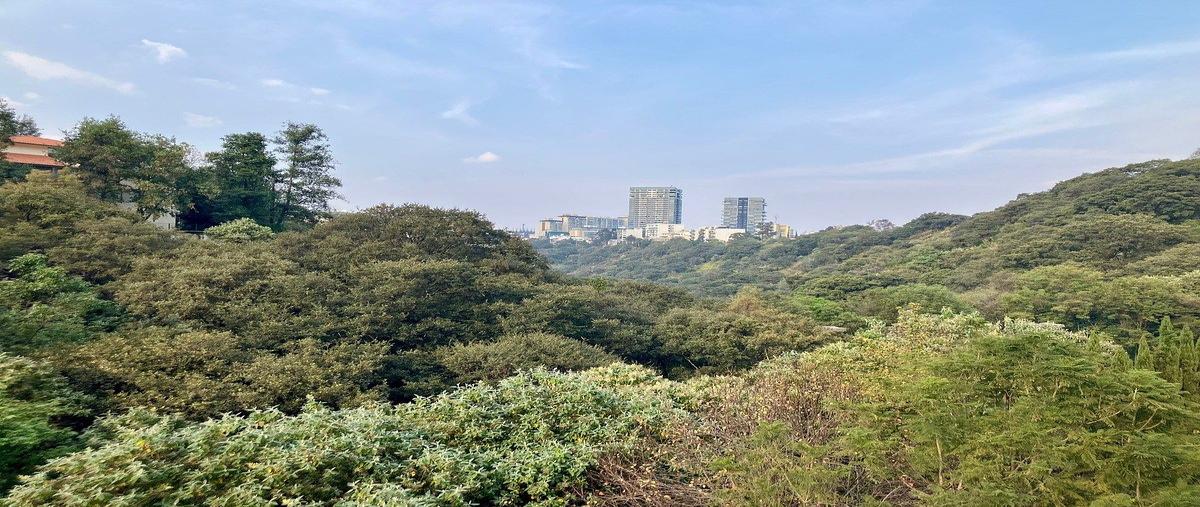 Foto de departamento en venta en paseo de los laureles , bosques de las lomas, cuajimalpa de morelos, df / cdmx, 31094030 No. 04