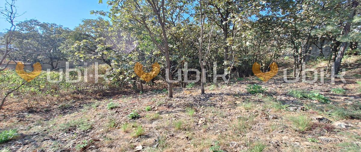 Foto de terreno habitacional en venta en paseo de los laureles , el palomar, tlajomulco de zúñiga, jalisco, 29041359 No. 04