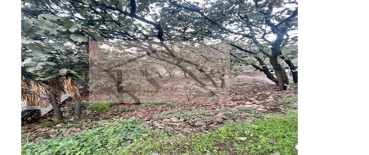 Foto de terreno habitacional en venta en paseo de los laureles , el palomar, tlajomulco de zúñiga, jalisco, 30320107 No. 05