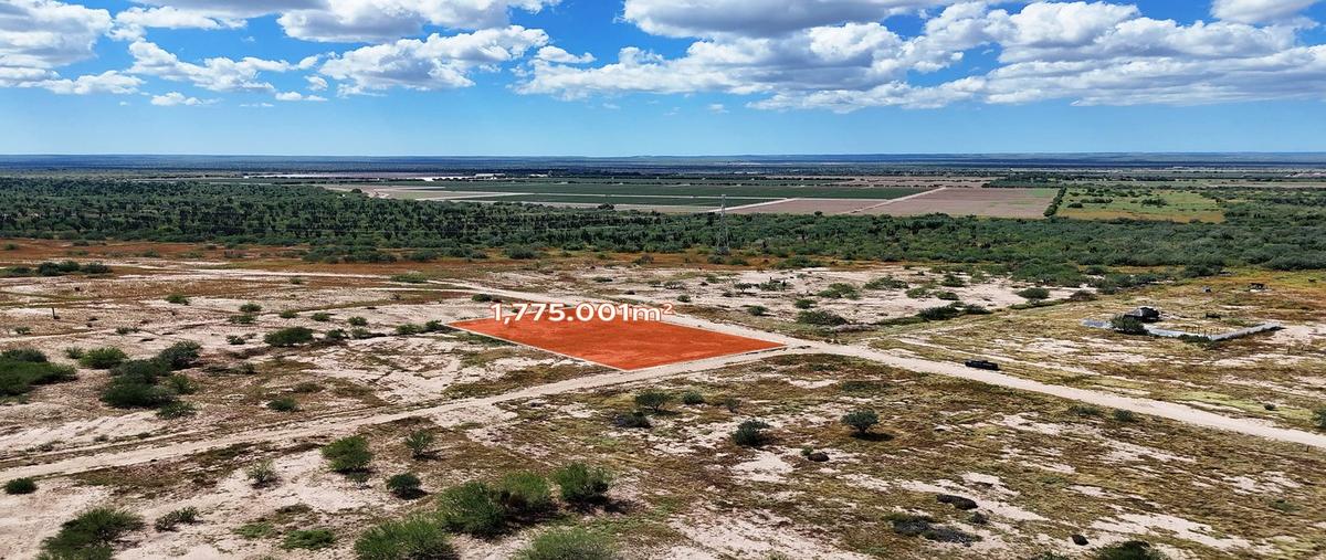 Foto de terreno habitacional en paseo de los laureles , villas de la paz, la paz, baja california sur, 0 foto 04 Foto de terreno habitacional en venta en paseo de los laureles , villas de la paz, la paz, baja california sur, 0 No. 04