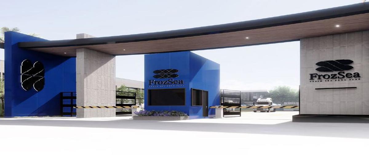 Foto de bodega en venta en paseo de los olivos 100, real de valdepeñas, zapopan, jalisco, 26678758 No. 03