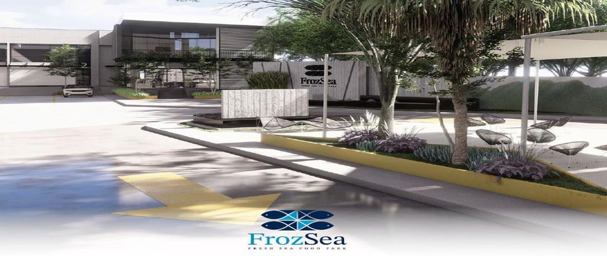 Foto de bodega en venta en paseo de los olivos 100, real de valdepeñas, zapopan, jalisco, 26678758 No. 05