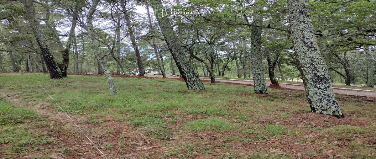 Foto de terreno habitacional en venta en paseo de los robles , los espinos, tapalpa, jalisco, 28218532 No. 03