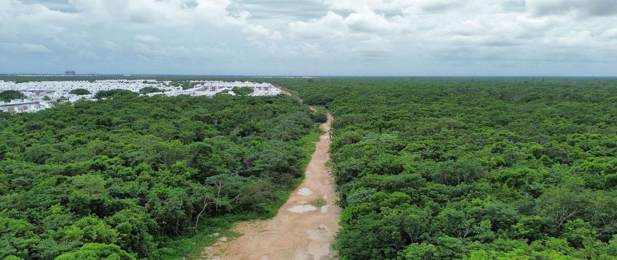 Foto de terreno habitacional en venta en paseo de maule , cancún centro, benito juárez, quintana roo, 29988127 No. 05