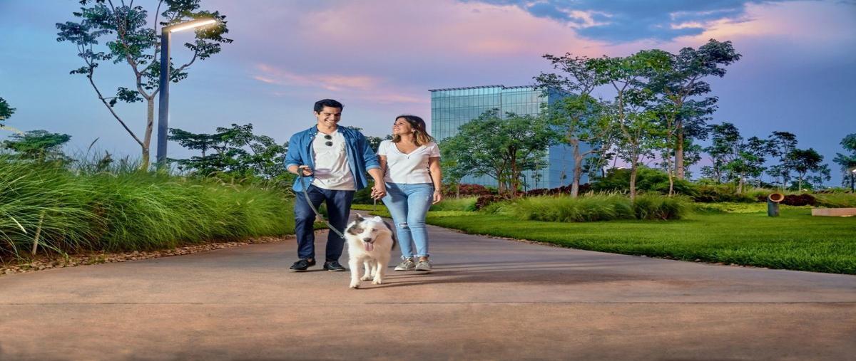 Foto de oficina en venta en  , paseo de montejo, mérida, yucatán, 14097981 No. 03