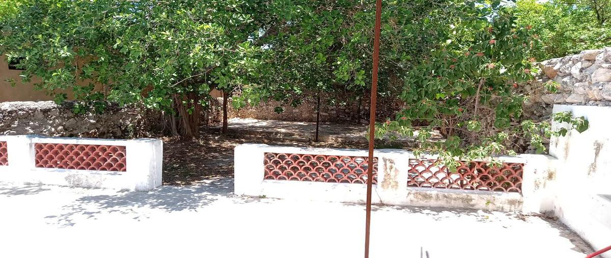 Foto de casa en renta en  , paseo de montejo, mérida, yucatán, 0 No. 04