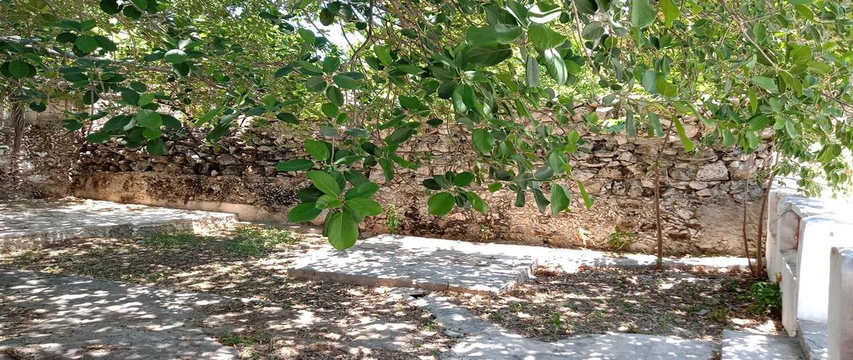 Foto de casa en renta en  , paseo de montejo, mérida, yucatán, 0 No. 05