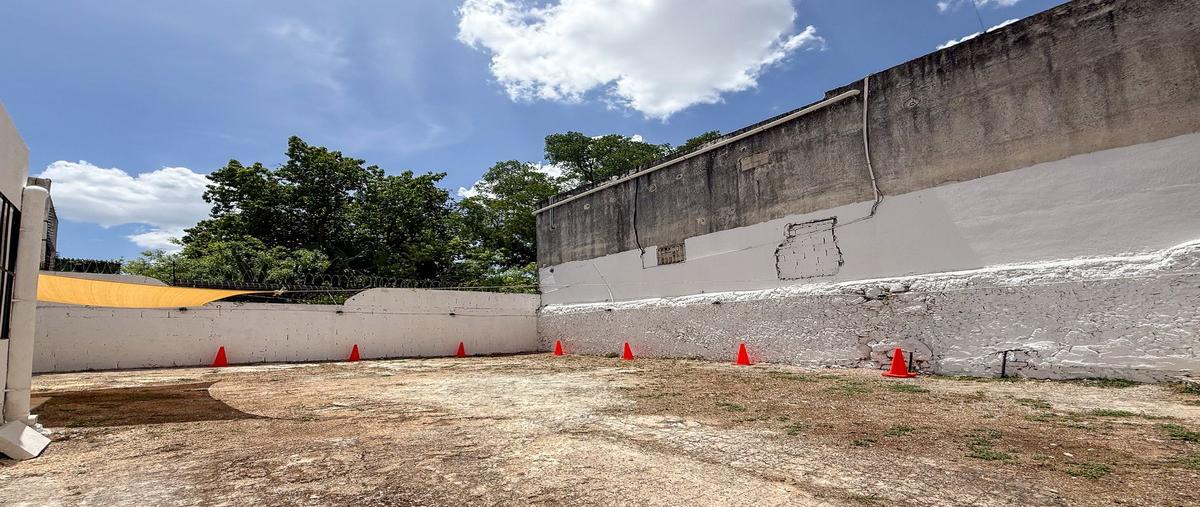 Foto de terreno comercial en renta en  , paseo de montejo, mérida, yucatán, 29966042 No. 05