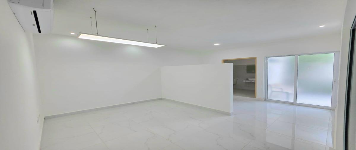 Foto de local en renta en  , paseo de montejo, mérida, yucatán, 0 No. 05