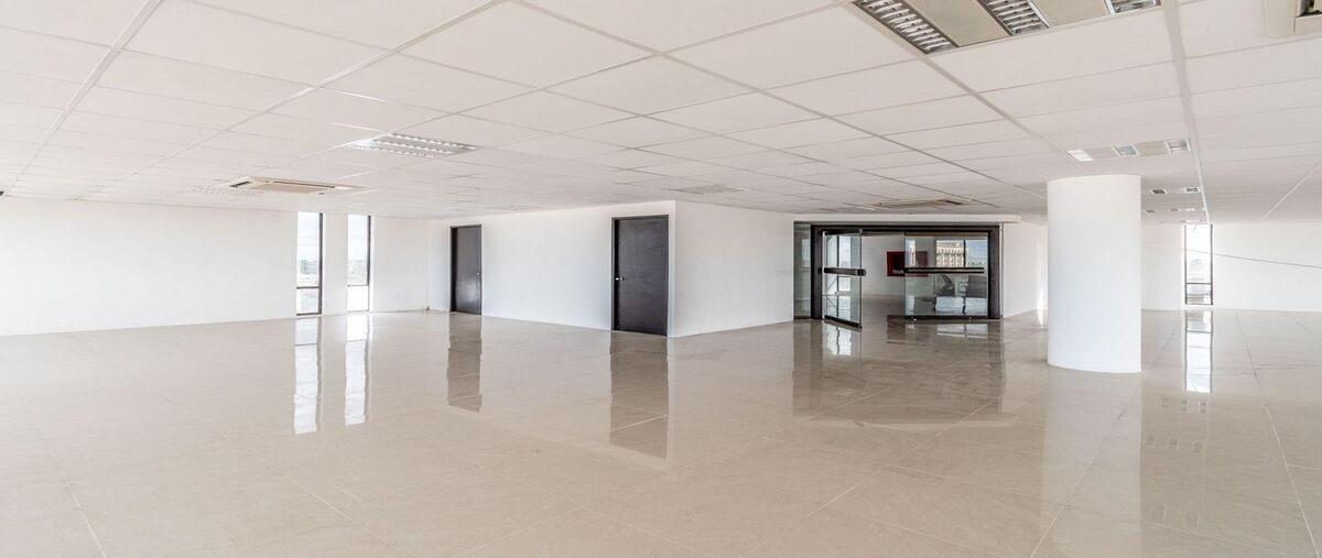 Foto de oficina en renta en  , paseo de montejo, mérida, yucatán, 30710842 No. 04