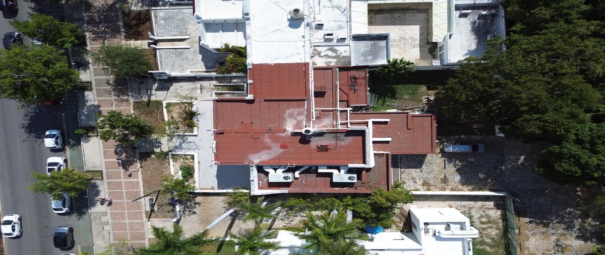 Foto de local en renta en  , paseo de montejo, mérida, yucatán, 30999840 No. 05