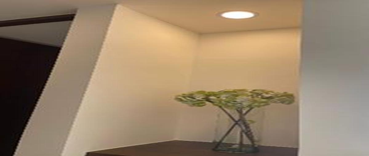 Foto de departamento en renta en  , paseo de montejo, mérida, yucatán, 0 No. 04