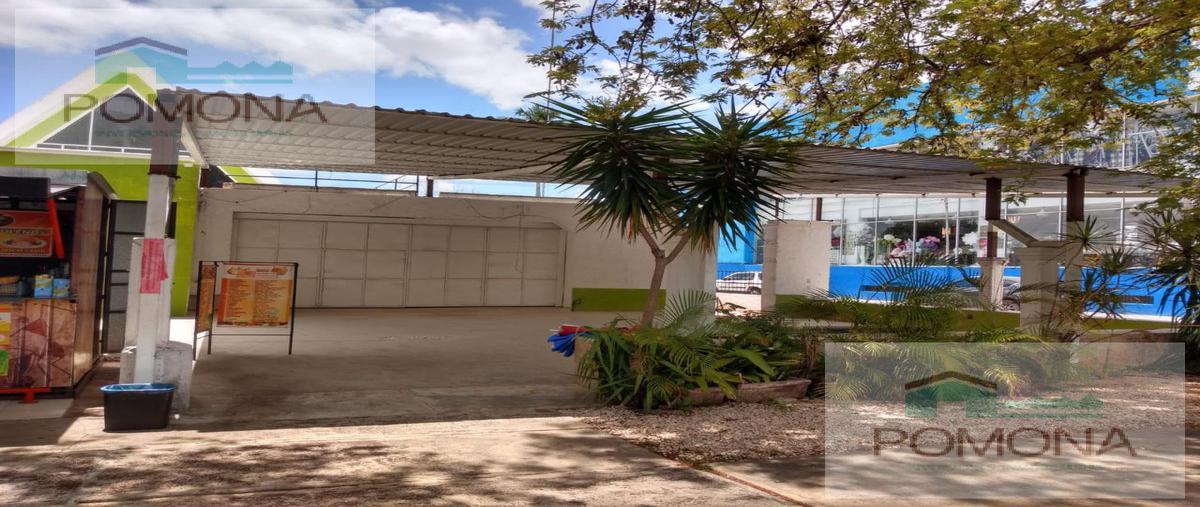 Foto de local en renta en  , paseo de montejo, mérida, yucatán, 7545255 No. 04