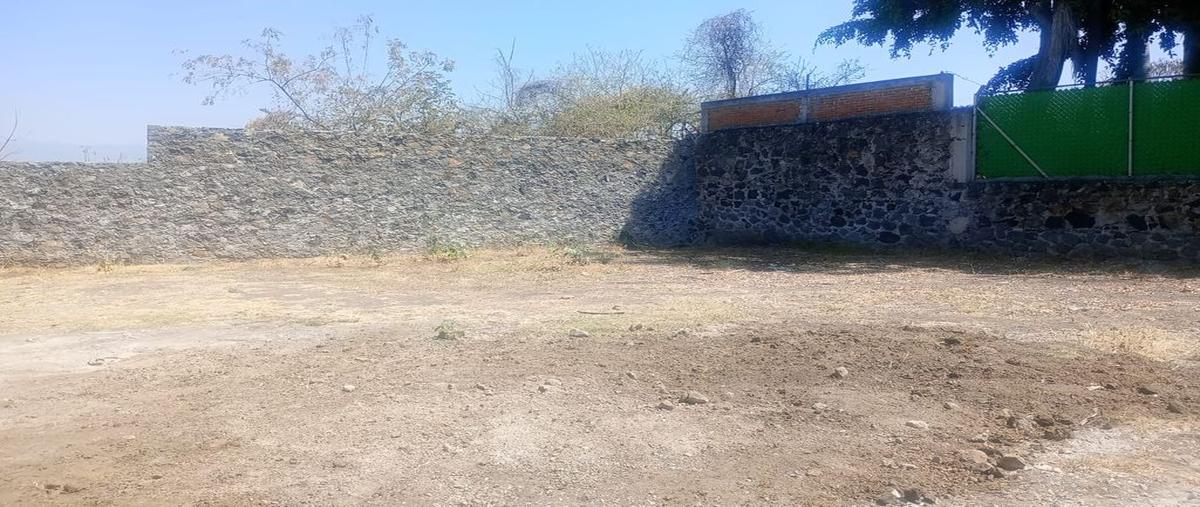 Foto de terreno habitacional en venta en paseo de reforma , lomas de cuernavaca, temixco, morelos, 0 No. 03