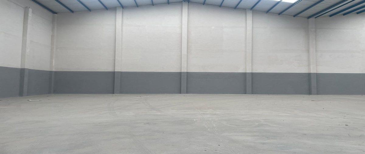 Foto de bodega en renta en  , paseo de santa catarina, santa catarina, nuevo león, 0 No. 03