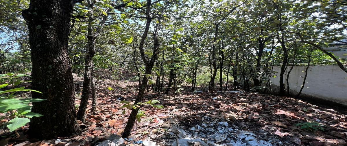 Foto de terreno habitacional en venta en paseo del agua , el palomar, tlajomulco de zúñiga, jalisco, 28933770 No. 05