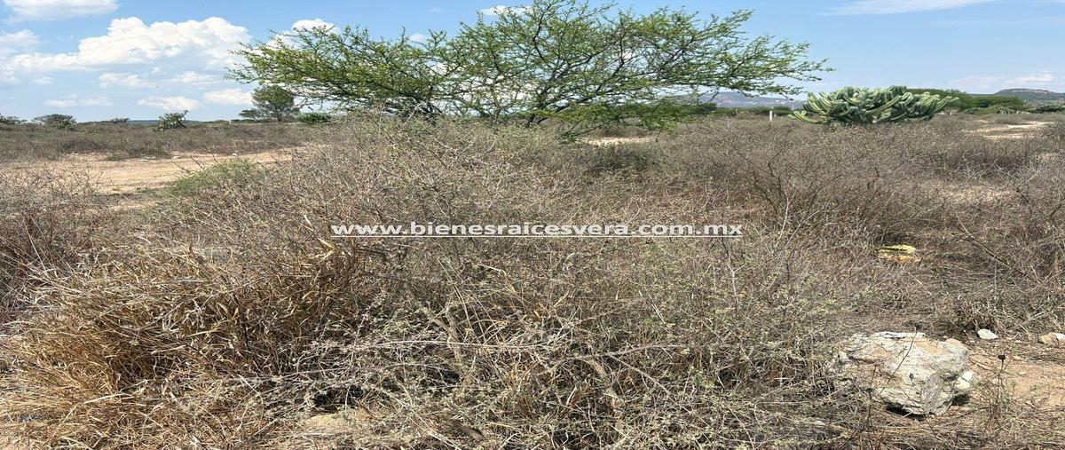 Foto de terreno habitacional en venta en paseo del aguila , hacienda grande, tequisquiapan, querétaro, 0 No. 08