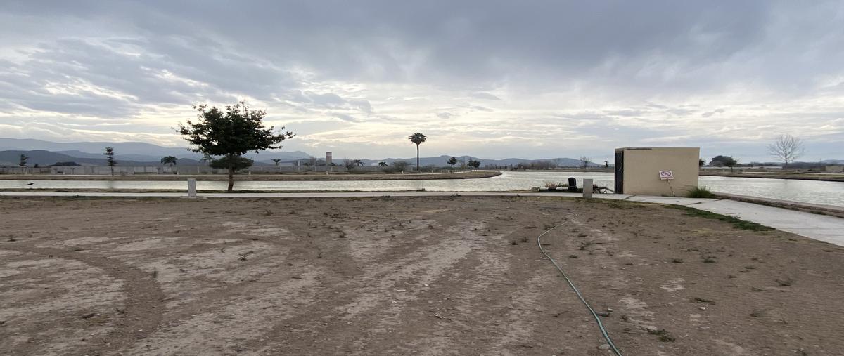Foto de terreno habitacional en paseo del ahuehuete lote 20b , ciudad juárez, lerdo, durango, 28381487 foto 02 Foto de terreno habitacional en venta en paseo del ahuehuete lote 20b , ciudad juárez, lerdo, durango, 28381487 No. 02