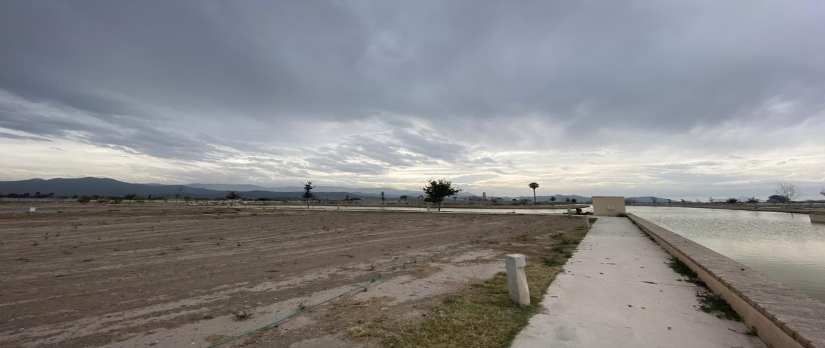 Foto de terreno habitacional en paseo del ahuehuete lote 20b , ciudad juárez, lerdo, durango, 28381487 foto 03 Foto de terreno habitacional en venta en paseo del ahuehuete lote 20b , ciudad juárez, lerdo, durango, 28381487 No. 03