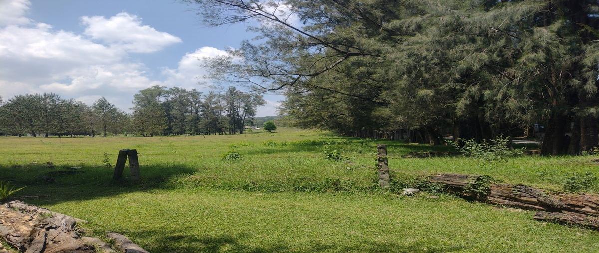 Foto de terreno habitacional en paseo del bosque , ampliación manantiales, xalapa, veracruz de ignacio de la llave, 0 foto 04 Foto de terreno habitacional en venta en paseo del bosque , ampliación manantiales, xalapa, veracruz de ignacio de la llave, 0 No. 04